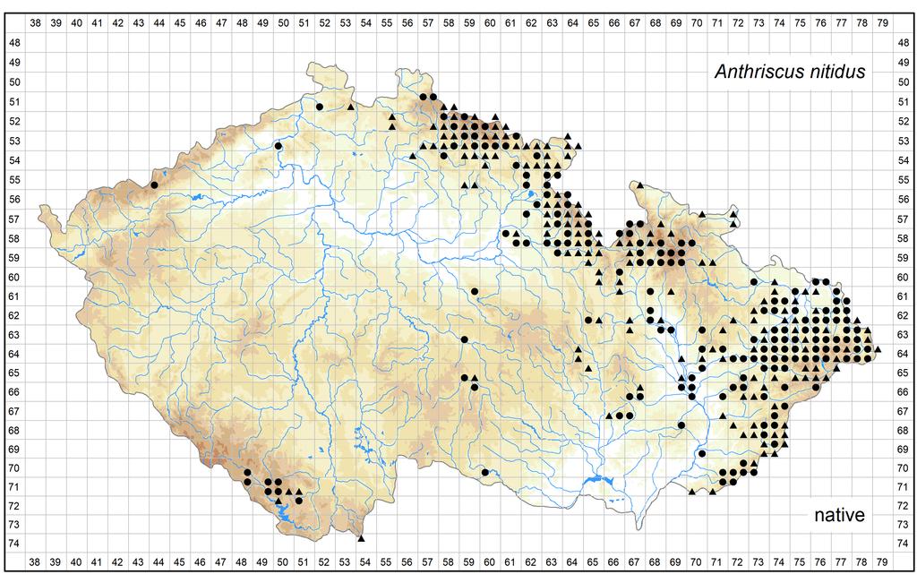 Distribution of Anthriscus nitidus in the Czech Republic Author of the map: Pavel Dřevojan, Jan Prančl Map produced on: 26-10-2018 Database records used for producing the distribution map of