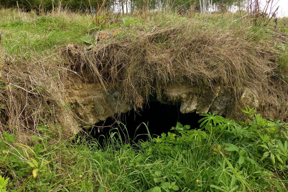 vznikl v obci i hřbitov. Začátkem dvacátého století se v obci nacházelo 87 domů s 331 obyvateli (z toho 310 Němců a 21 Čechů).