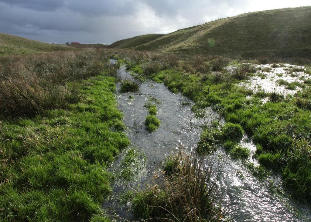 Obnova drobných toků a rozlivu vody do niv Mokřadní zóna retence živin, zejména P vázaného na půdní částice, denitrifikace