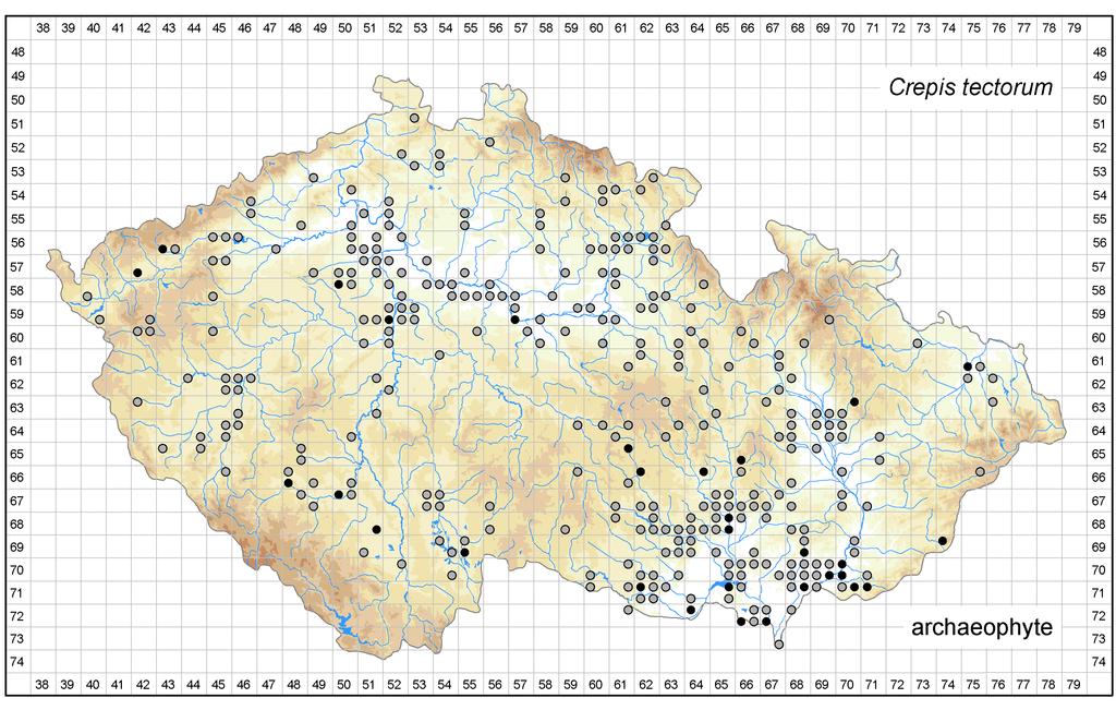 Distribution of Crepis tectorum in the Czech Republic Author of the map: Zdeněk Kaplan Map produced on: 06-02-2018 Database records used for producing the distribution map of Crepis tectorum