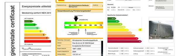 Povinnost v