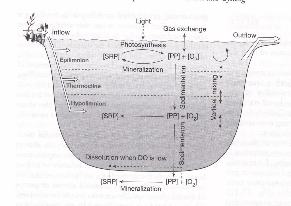 internal loading sedimentace samotných
