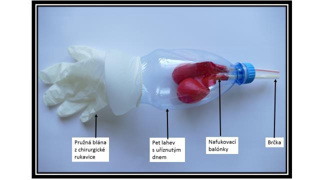 Praktická část Laboratorní úkol Dýchací soustava člověka Dýchací soustava slouží k výměně plynů mezi tělem a okolním prostředím.