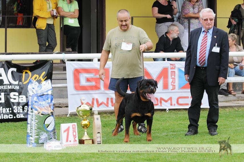 Výsledky Klubové výstavy rottweilerů Dolní Přím Probluz 10.9.2011 rozhodčí: Dieter Hoffmann 3. BOND BIANCO DUX otec: Atze v.d. Holzhaussiedlung II. narozen: 5.4.2011 matka: Ch. Bianka z Mirealu č.