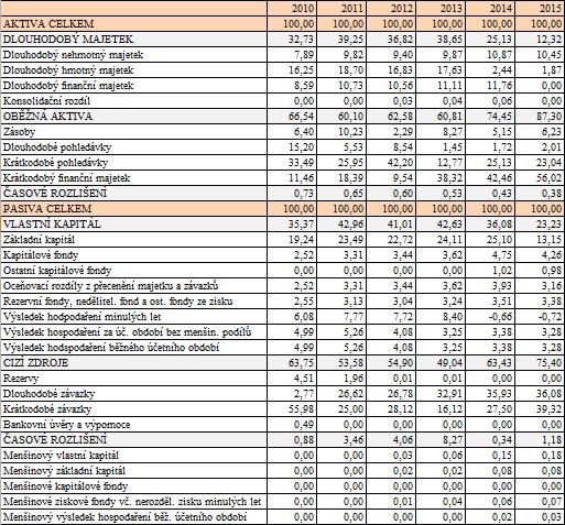 Při pohledu na finanční strukturu společnosti lze zjistit, že podnik využívá převážně financování z cizích zdrojů. Ty se pohybují v převážné většině let mezi 55 až 75 %.