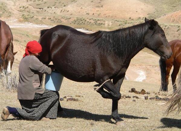 DĚKUJI VÁM ZA POZORNOST Zahraniční kancelář Almaty Prospekt Dostyk 192