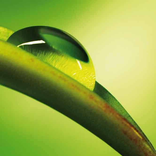 34 Spálením 85 454 tun biomasy bylo ušetřeno více než 76 tisíc tun hnědého uhlí což představuje 96 tisíc tun emisí CO2.