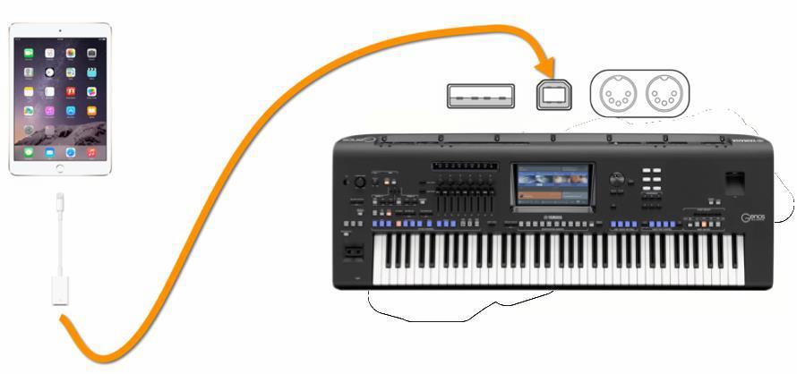 3.3 Pomocí USB-MIDI propojení přímo do keyboardu Keyboardy s portem USB TO HOST lze připojit pomocí USB kabelu pro tiskárny (USB typ A-B).