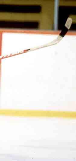 To všechno se vám povedlo. Když uděláme další skok o deset let: jaký cíl jste měl jako třicetiletá hvězda v NHL?