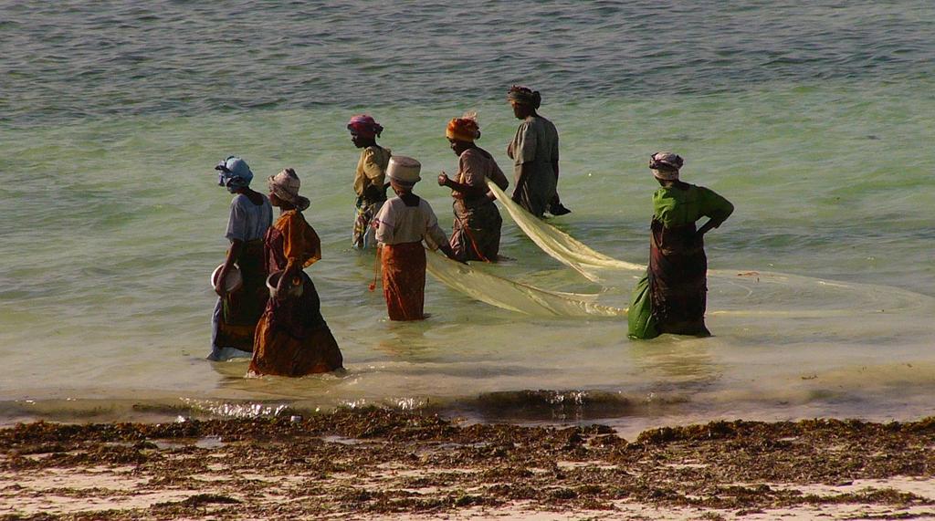 února 2019 v 18 hodin LENKA A VÁCLAV ŠPILLAROVI ZANZIBAR Cestopisná beseda s