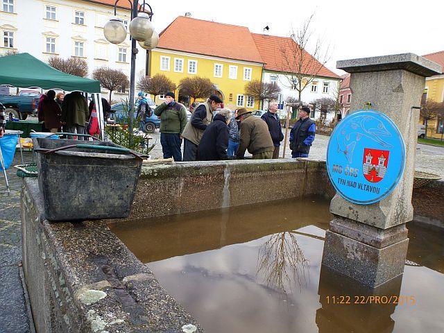poslala několik