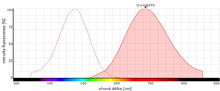 5.3.3 Absorpční a emisní spektrum fluorescenčního barviva Membránová barviva s rychlou odezvou patřící do skupiny styryl (Di-4-ANNEPS, Rh237), jsou amfifilního charakteru.