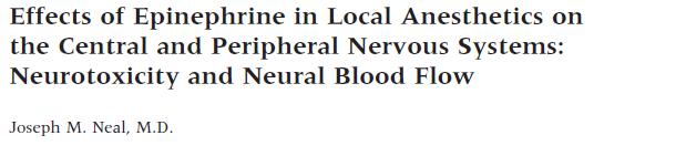 Adrenalin vasokonstrikce zhoršené prokrvení neurální tkáně?