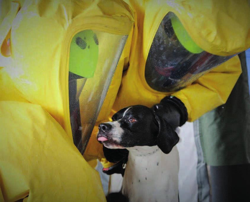 9 9 2018 83 Do hodiny a půl výsledek Vojenští veterináři pravidelně nacvičují se Státní veterinární správou zejména postupy a komunikaci při vyhlášení krizové situace po vypuknutí nebezpečné nákazy.