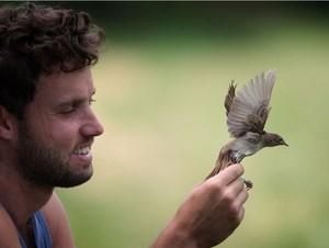 Vliv globální změny na společenstva ptáků