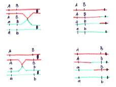 VAZBA GENŮ geny leží na stejném chromozomu crossing-over - možnost vzniku nových gamet Vazba genů Volná kombinovatelnost chromozomový pár gamety P AA BB x aa bb AA BB x aa bb F 1 AaBb AaBb gamety AB