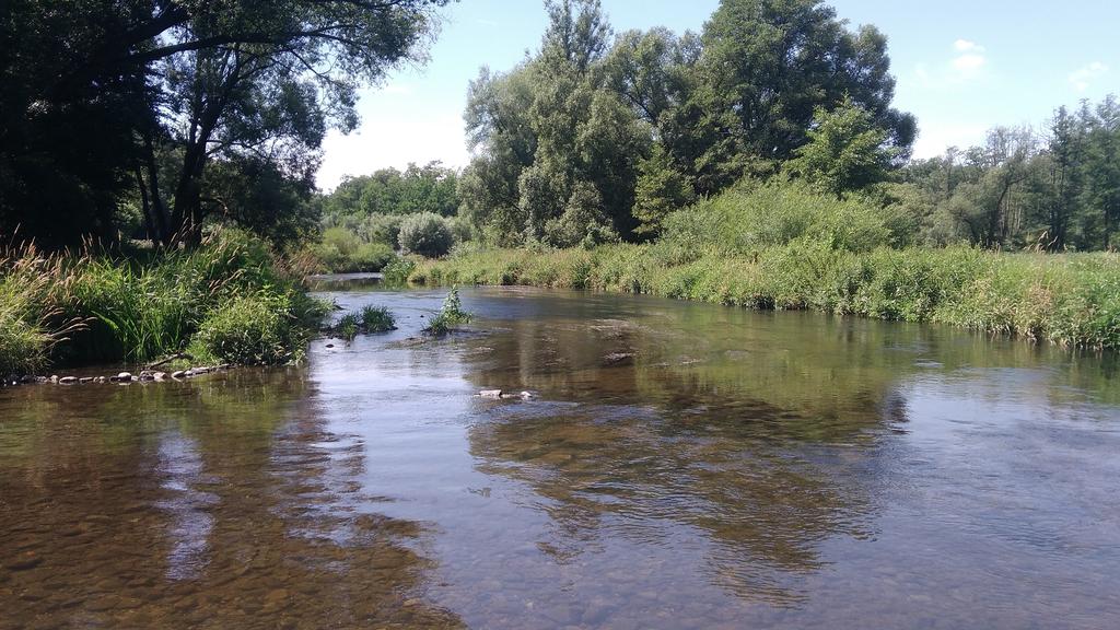 Obr. 2. u brodu u Nové Vsi (lokalita č. 2). Foto L. Beran. Fig. 2. The River by a ford near the Nová Ves Village (site no.