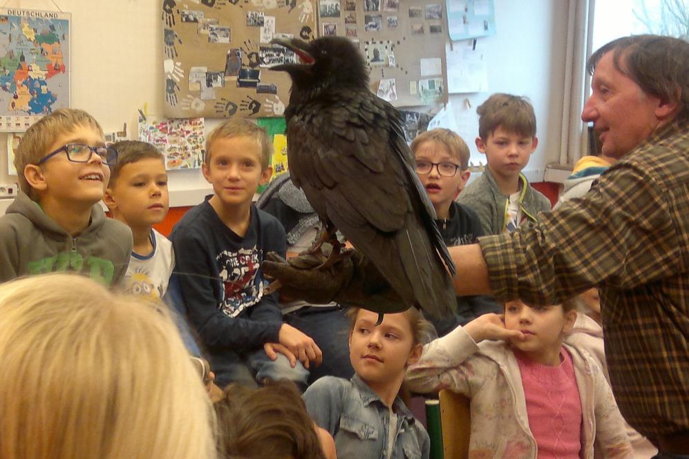 ORNITA - 3.AB V listopadu jsme si ve škole povídali o zajímavostech ze života krkavcovitých. Krkavcovití jsou našimi největšími ptáky z řádu pěvců.