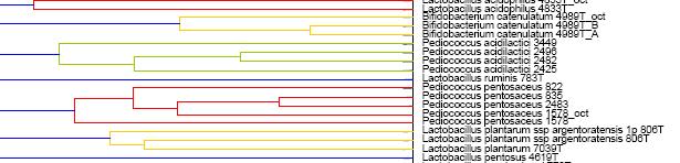 Jediný kmen Bifidobacterium catenulatum 4989T analyzovaný Po časové periodě řadí se