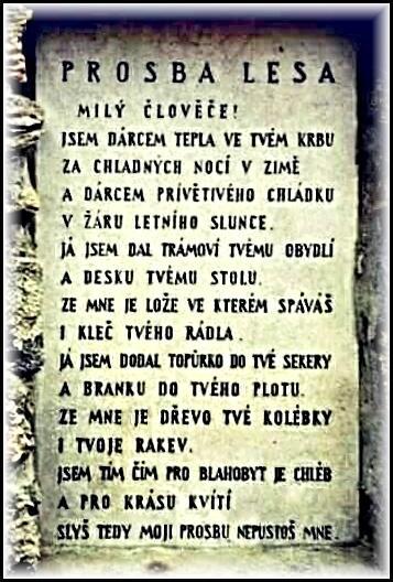 Při pravém zimním spánku jsou zvířata v