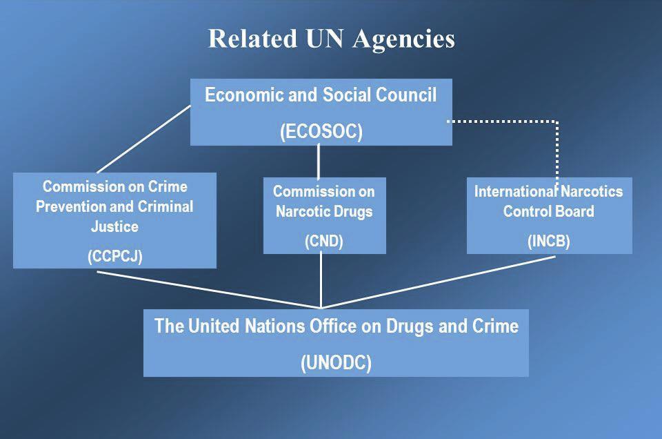 Obr. 2: Vztah UNODC, jeho řídících komisí a ECOSOC 29 3 UNODC na Summitu Simulace UNODC v rámci Modelu OSN Pražského studentského summitu je ve skutečnosti simulací jeho dvou řídících komisí CCPCJ a