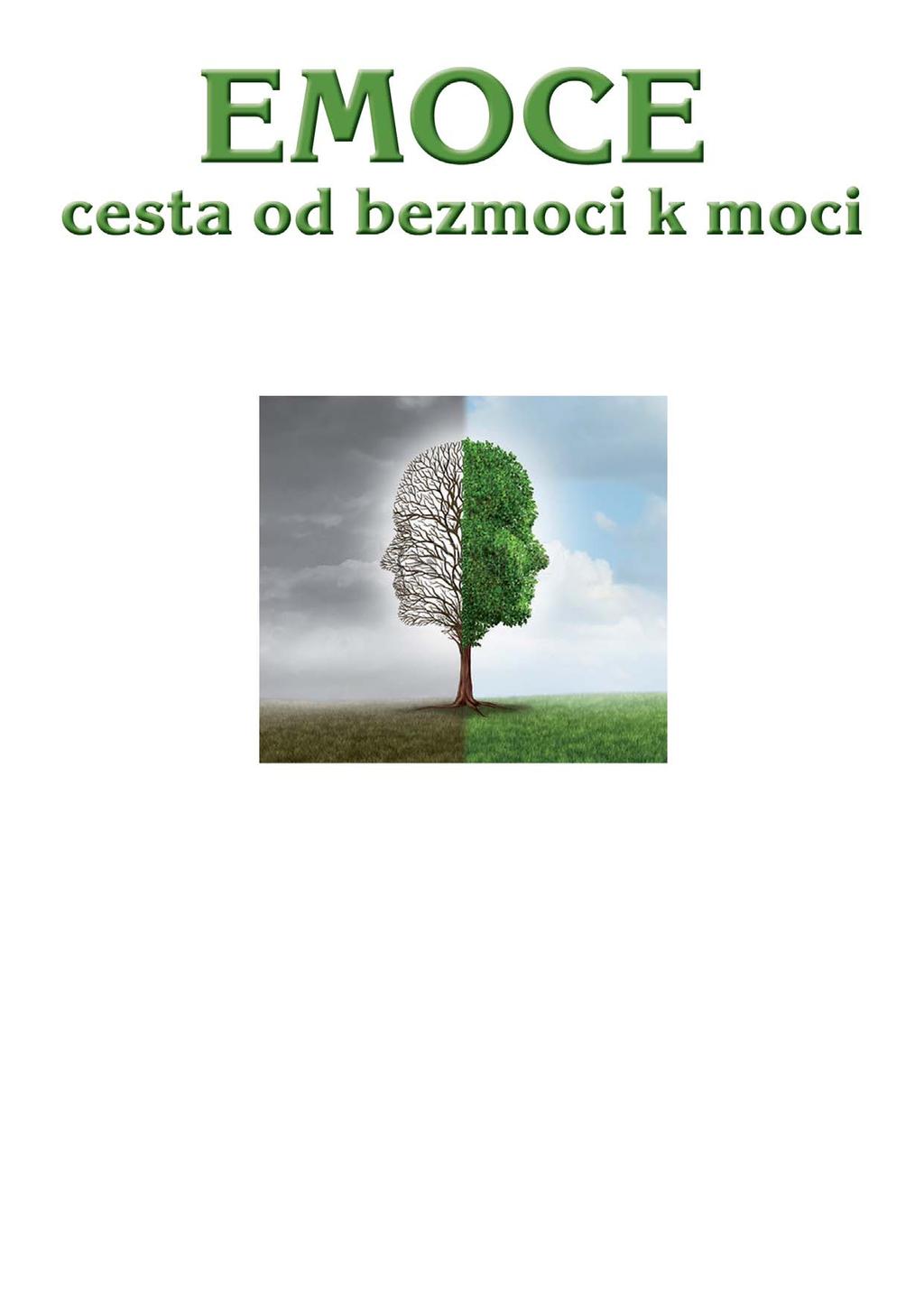 Nenajdeme ve svém životě oblast, kterou neovlivňují naše emoční stavy.