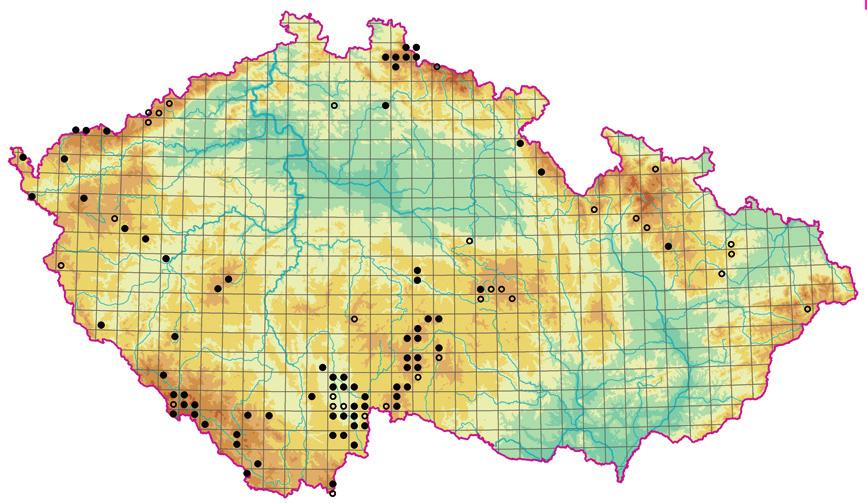 Vegetace slatinišť, přechodových rašelinišť a vrchovištních šlenků (Scheuchzerio palustris-caricetea nigrae) vrchovině (Rybníček 1974, Růžička 1991), Dokesku (Neuhäusl & Neuhäuslová 1965), v Českém