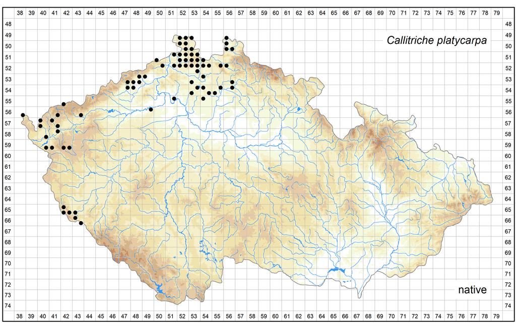 Distribution of Callitriche platycarpa in the Czech Republic Author of the map: Jan Prančl Map produced on: 26-10-2018 Database records used for producing the distribution map of Callitriche