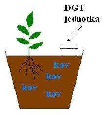 TEORETICKÁ ČÁST DGT je velmi dobrým nástrojem např. pro odhad biodostupnosti kovů rostlinám [10, 13]. Běţné metody vyuţívají pro odhad biodostupnosti kovů zhomogenizované a přesítované vzorky půd.