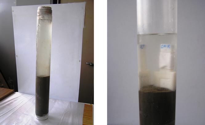 EXPERIMENTÁLNÍ ČÁST ŘÍČNÍ SEDIMENTY Sondy DGT i DET byly zasunuty do vzorků sedimentů tak, aby přibliţně 2-3 cm gelu zůstaly nad rozhraním sediment-povrchová voda (Obr. 5-6 a 5-7).