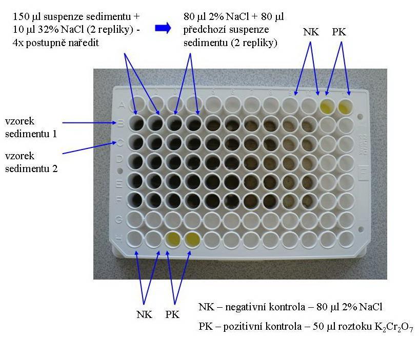EXPERIMENTÁLNÍ ČÁST ŘÍČNÍ SEDIMENTY za neustálého míchání při laboratorní teplotě po dobu 1 hodiny a poté byla potenciometricky změřena koncentrace uvolněného H 2 S. 5.