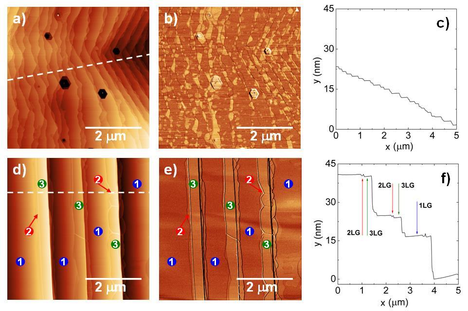 PŘÍPRAVA GRAFENU Druhým krokem je samotný epitaxní růst grafenu, k němuž dochází žíháním ve vakuu nebo v argonové atmosféře.