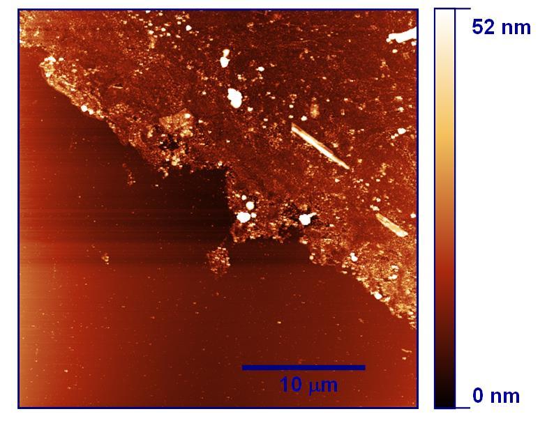 PŘÍPRAVA GRAFENU Obrázek 11 ukazuje AFM topografii grafenu přeneseného pomocí vrstvy PMMA na SiO 2 substrát.