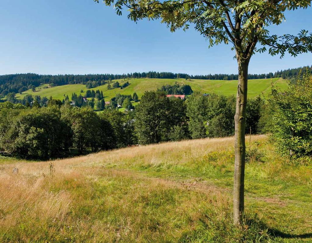 BEDŘICHOVSKÝ občasník Ročník 2018 Číslo 1 Nová stezka pro děti Strana 5 Historie kostela sv.