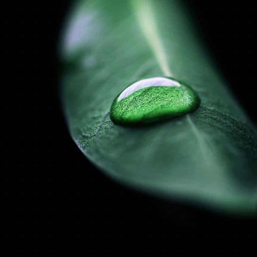 ECO SMART