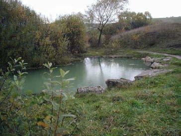 Rajčanka sú ľavostranné. Najväčšie z nich sú Orava /1991,6 km 2 /, Kysuca /988,5 km 2 /, Turiec /930,7 km 2 /, Rajčanka /359,1 km 2 /, Revúca /285,73 km 2 /, Belá /244,3 km 2 /, Varínka /167,3 km 2 /.