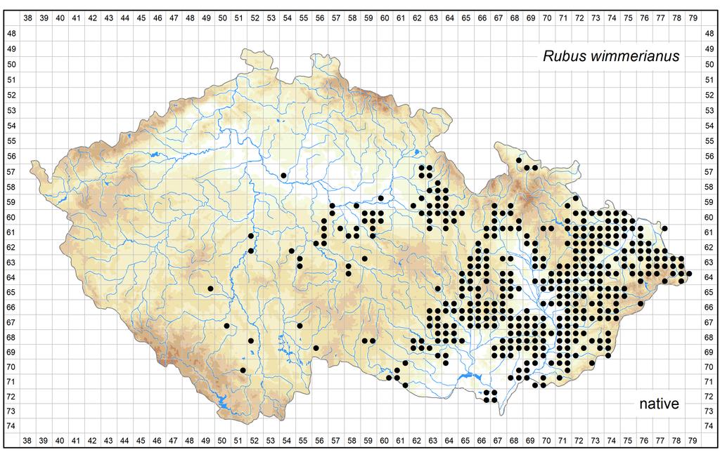 Distribution of Rubus wimmerianus in the Czech Republic Author of the map: Bohumil Trávníček, Jiří Zázvorka, Petr Havlíček, Vojtěch Žíla Map produced on: 26-10-2018 Database records used for