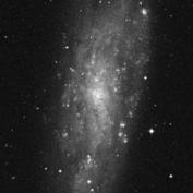 pokupěvirgojetovšaknejbohatšíblízkákupa.odnásjevzdálenápřibližně 60miliónůsv.r. Kromě NGC 253 má jen jedna jasnější galaxie skupiny v Sochaři příznivější polohu na obloze, a to spirální NGC 247(typ SBcd).