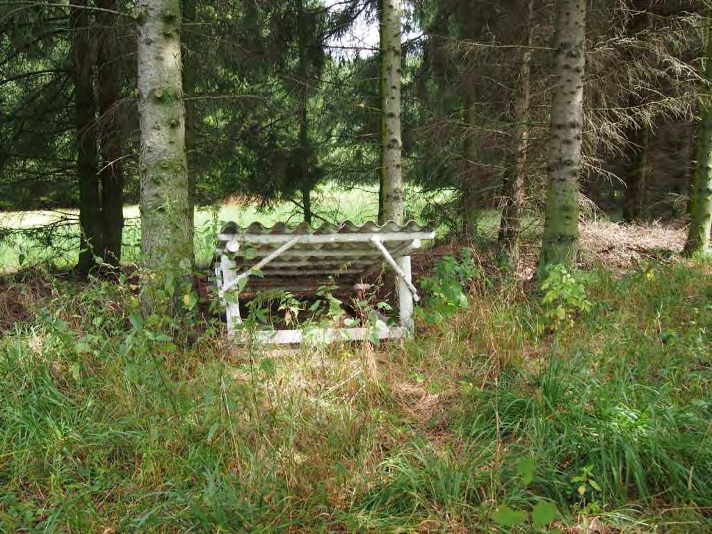 Foto 9 Přikrmovací zařízení na okraji smrkové monokultury u komplexu luk