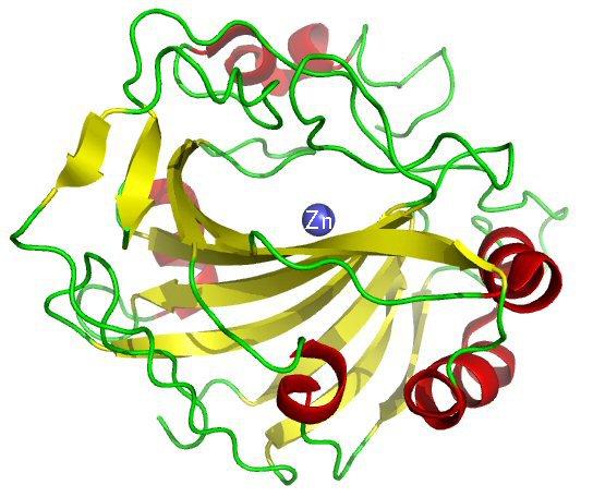 Příklad karbonická anhydráza [plot/anhydrase.sh] 14/24 CO 2 + H 2 O HCO 3 + H + [CO 2 ]/mmol dm 3 /mol dm 3 s 1 1.25 2.78 10 5 2.5 5.00 10 5 5.0 8.