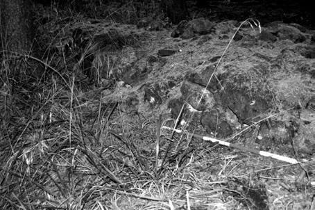 (foto L. Holata). Obr. 37. Ráj.
