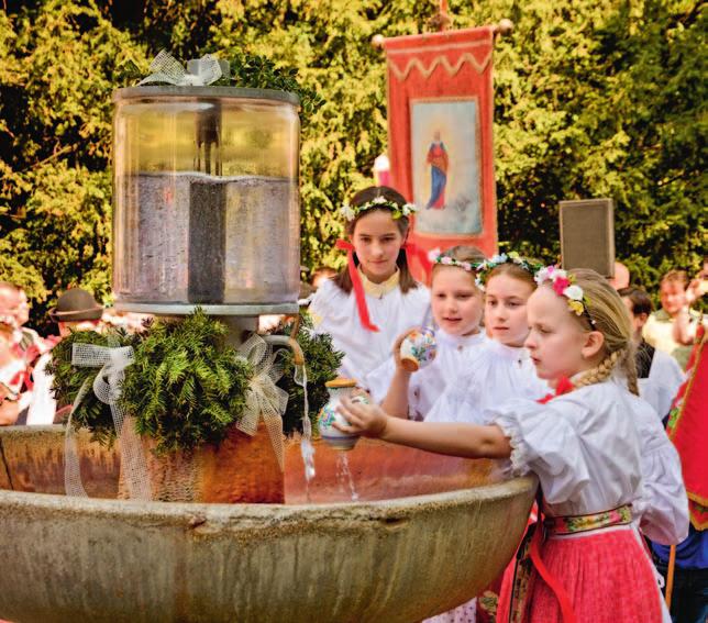 Na území Luhačovic bylo dosud objeveno 19 minerálních pramenů se zvýšeným obsahem jódu, železa, kyseliny