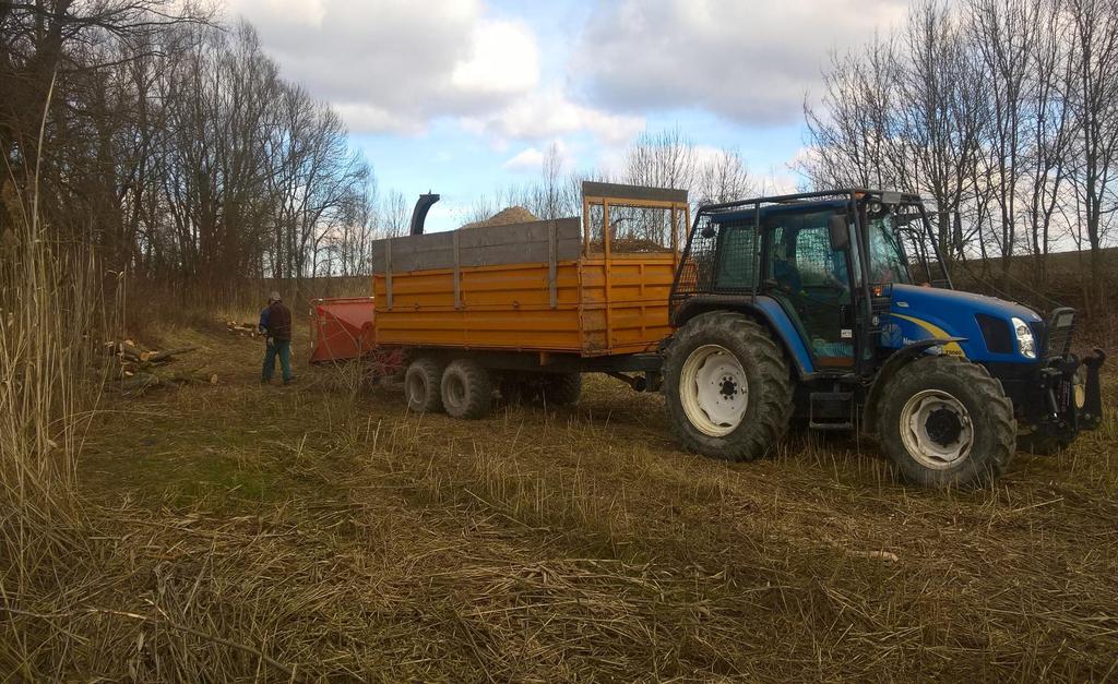 Zbytková biomasa, náletové dřeviny