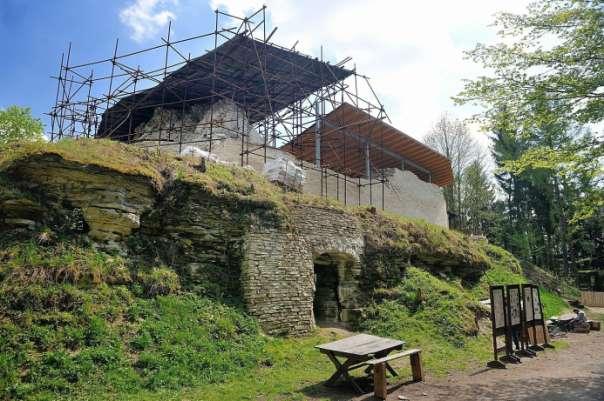 Rozsahem nevelký, z hlediska architektonického ovšem neobvyklý hrad postavil ve 13. století pan Tas. Pocházel z významného rodu pánu erbu třmene, který držel purkrabství, t.j.