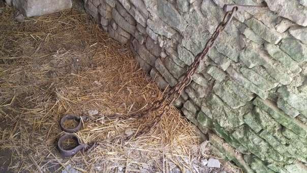Zanedbané a znehodnocené archeologické nálezy se částečně podařilo zdokumentovat a zrestaurovat členům Sdružení pro Vízmburk,