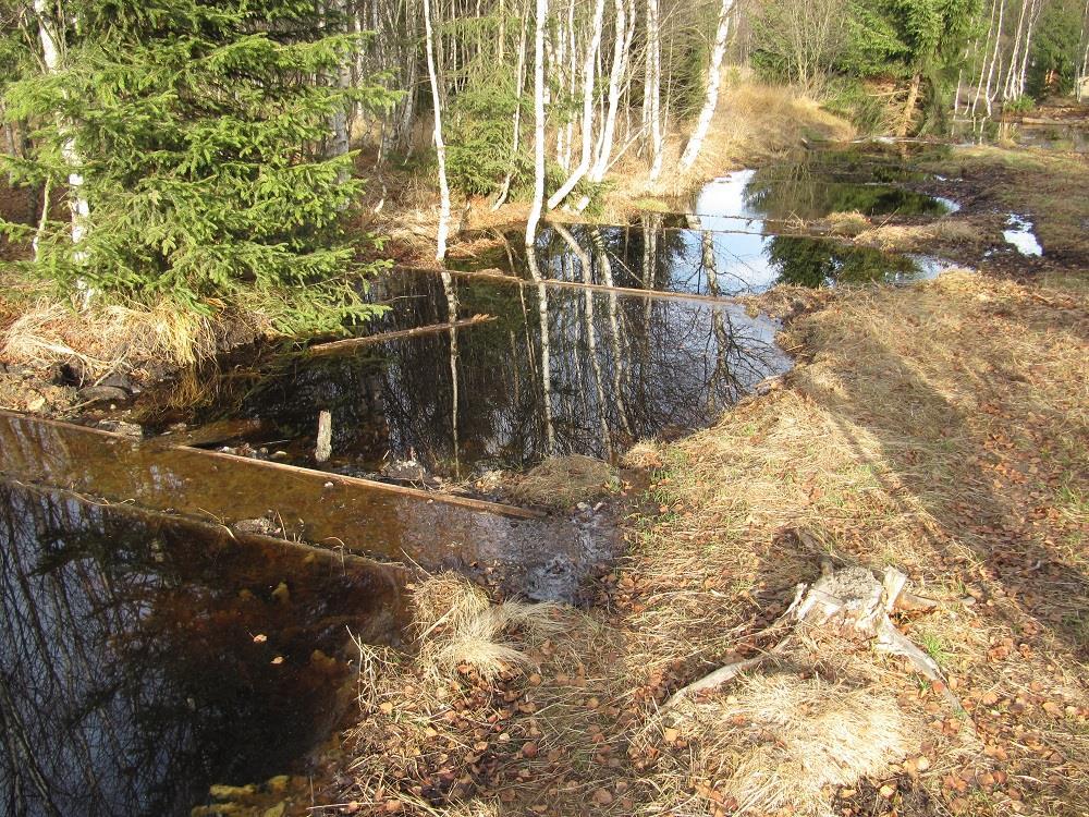 OPŽP Revitalizace rašelinišť v NP Šumava Opatření pro obnovu vodního režimu rašeliniště.
