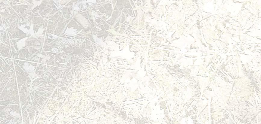 Pro rostliny nad 100 cm je potřeba použít vrták o průměru 20 cm. Celá technologie je relativně jednoduchá, realizovaný způsob výsadby respektuje růstové potřeby rostlin.