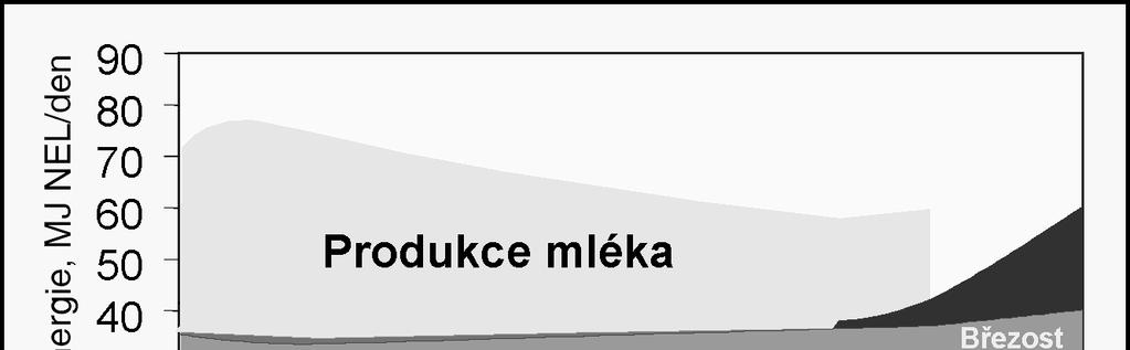 Potřeba energie v