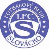 S fotbalem začínal v Malenovicích, v dorostu pak hrál za tehdejší Gottwaldov. V dospělé kategorii jsem naskočil do mužů, kdy jsme ještě se Slovenskem společné hráli druhou nejvyšší soutěž, tehdy 1.