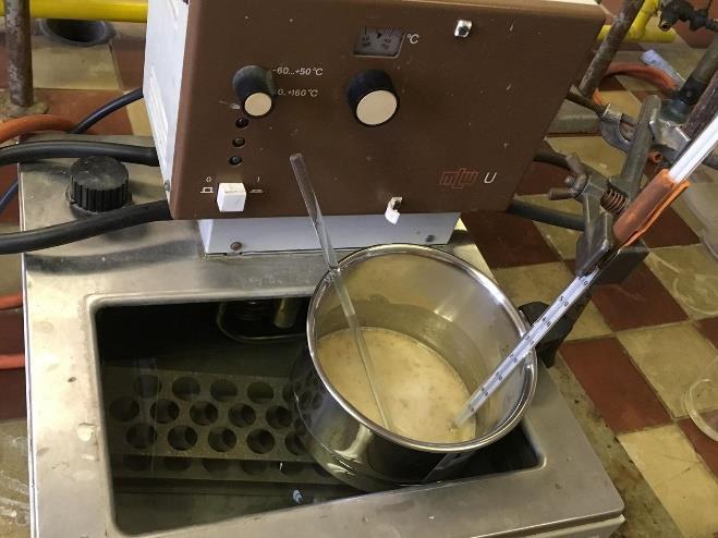 RMUTOVÁNÍ V LABORATOŘI Rmutovací postup vycházel z návodu pro určení sladového extraktu.